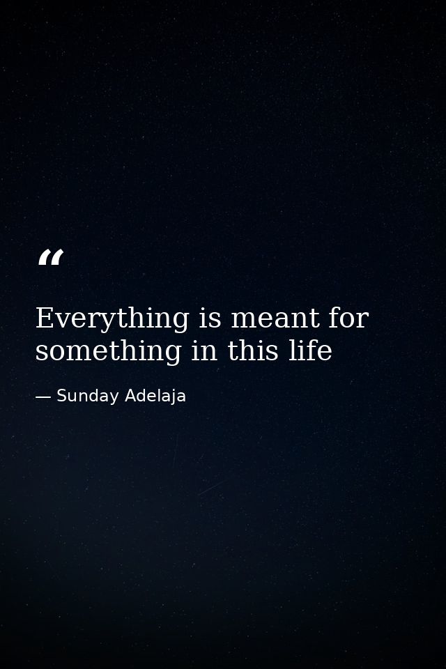Everything is meant for something in this life — Sunday Adelaja