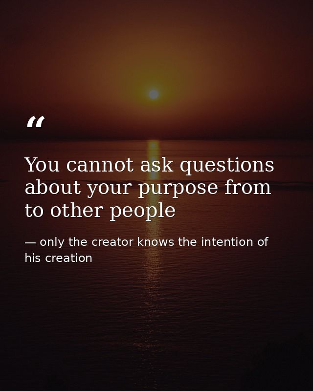 You cannot ask questions about your purpose from to other people — only the creator knows the intention of his creation