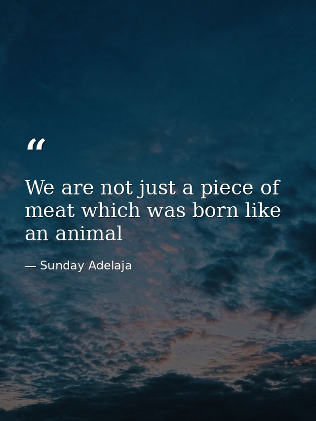 We are not just a piece of meat which was born like an animal — Sunday Adelaja