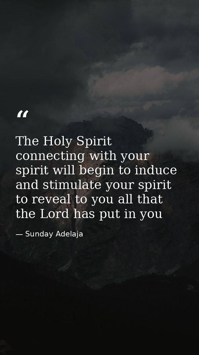 The Holy Spirit connecting with your spirit will begin to induce and stimulate your spirit to reveal to you all that the — Sunday Adelaja