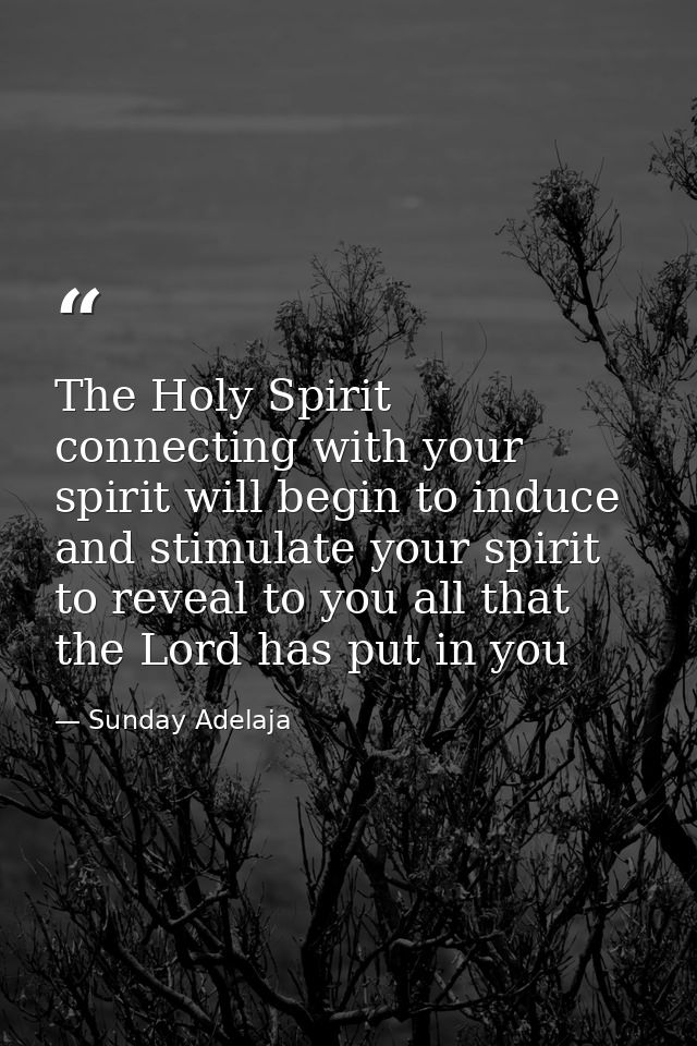 The Holy Spirit connecting with your spirit will begin to induce and stimulate your spirit to reveal to you all that the — Sunday Adelaja