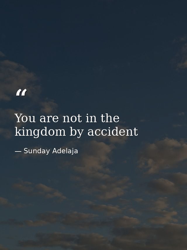You are not in the kingdom by accident — Sunday Adelaja