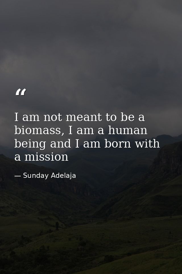 I am not meant to be a biomass, I am a human being and I am born with a mission — Sunday Adelaja