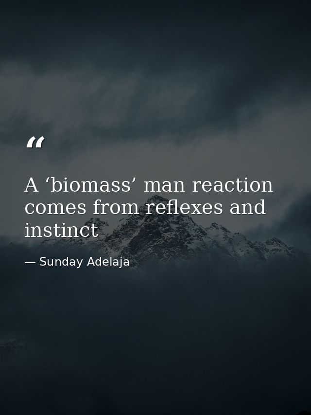 A ‘biomass’ man reaction comes from reflexes and instinct — Sunday Adelaja
