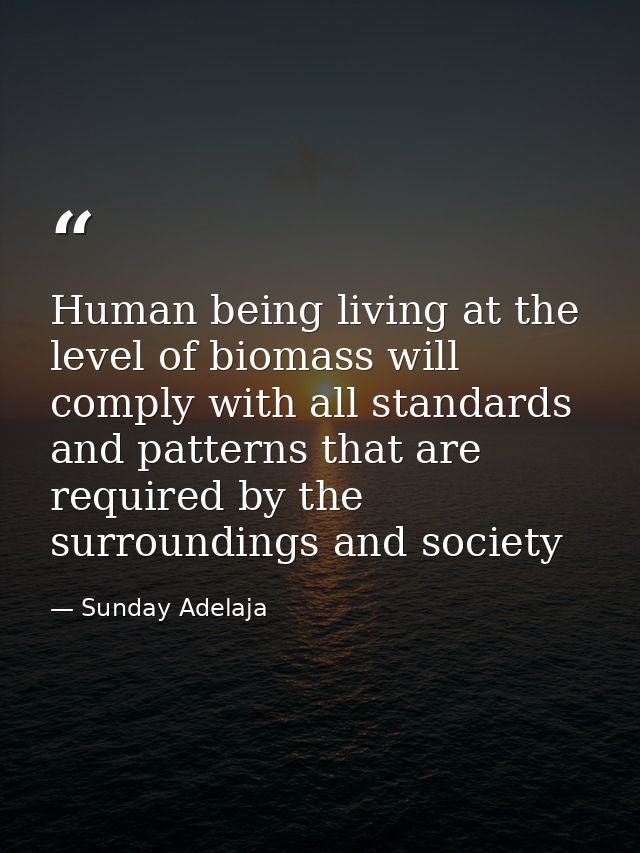 Human being living at the level of biomass will comply with all standards and patterns that are required by the surround — Sunday Adelaja