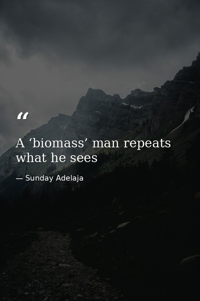 A ‘biomass’ man repeats what he sees — Sunday Adelaja