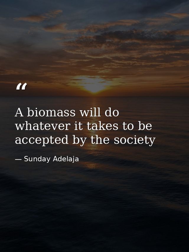A biomass will do whatever it takes to be accepted by the society — Sunday Adelaja