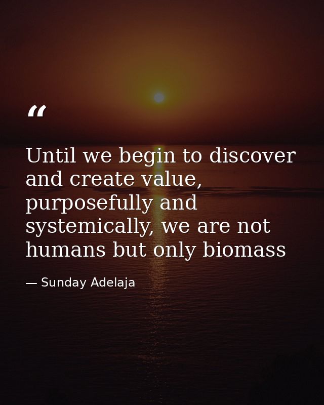 Until we begin to discover and create value, purposefully and systemically, we are not humans but only biomass — Sunday Adelaja