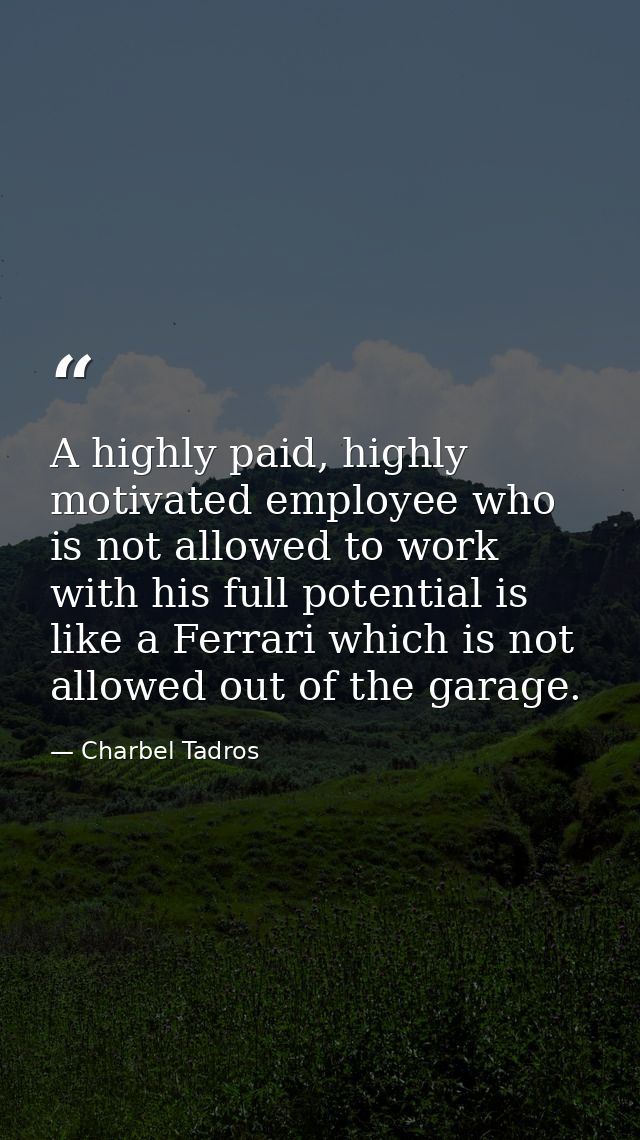 A highly paid, highly motivated employee who is not allowed to work with his full potential is like a Ferrari which is n — Charbel Tadros