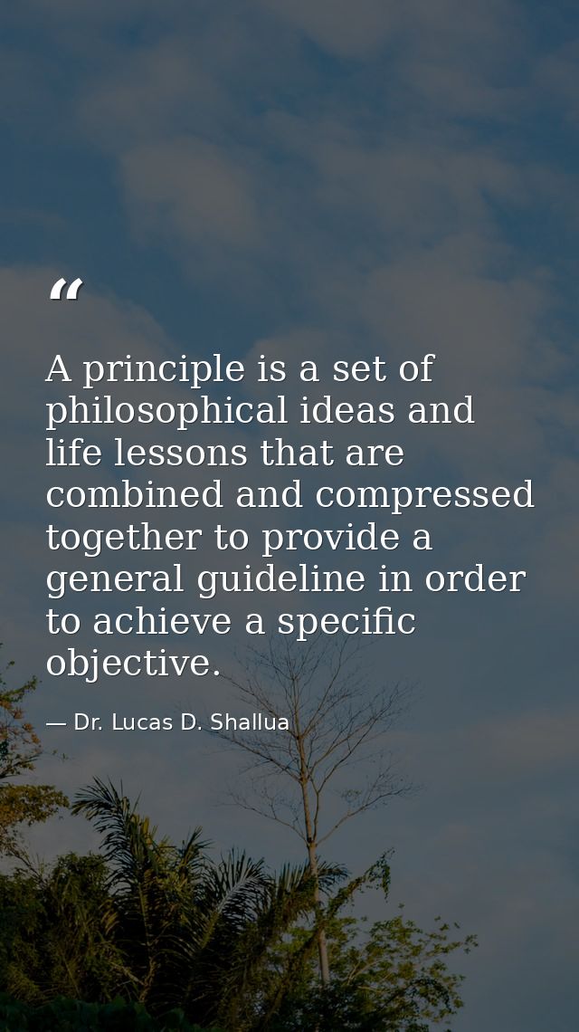 A principle is a set of philosophical ideas and life lessons that are combined and compressed together to provide a gene — Dr. Lucas D. Shallua