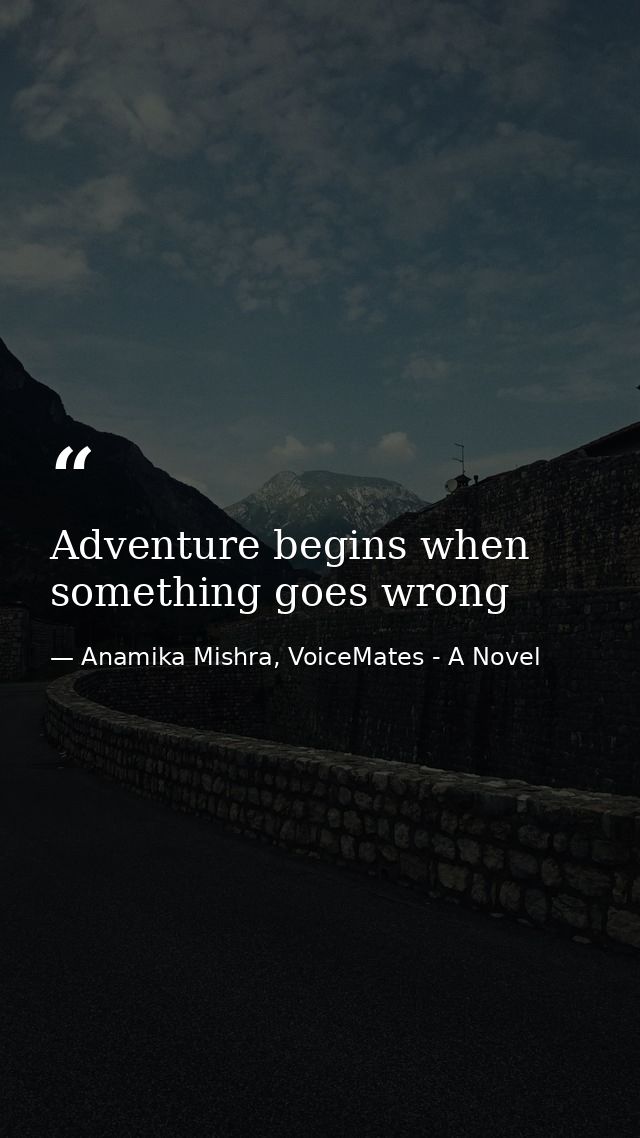 Adventure begins when something goes wrong — Anamika Mishra, VoiceMates - A Novel