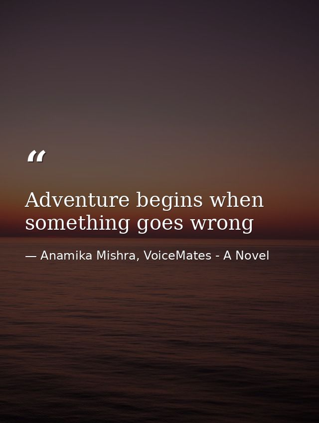 Adventure begins when something goes wrong — Anamika Mishra, VoiceMates - A Novel