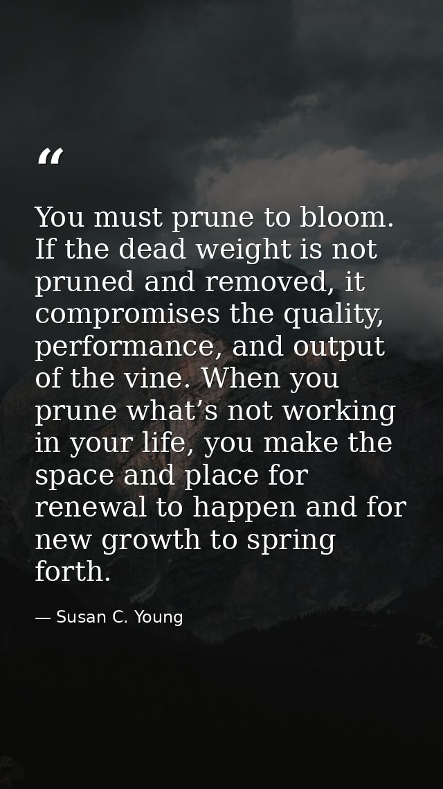 You must prune to bloom. If the dead weight is not pruned and removed, it compromises the quality, performance, and outp — Susan C. Young