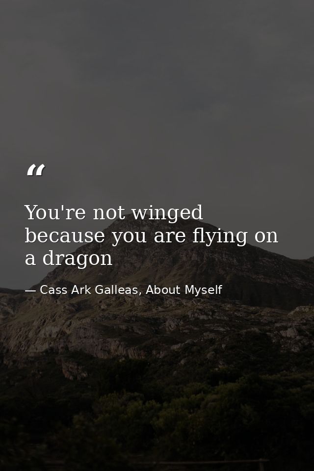 You're not winged because you are flying on a dragon — Cass Ark Galleas, About Myself