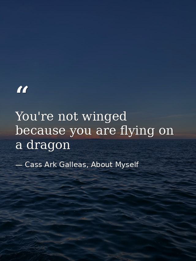 You're not winged because you are flying on a dragon — Cass Ark Galleas, About Myself