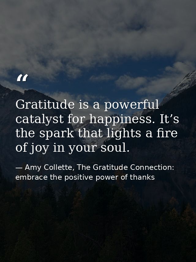 Gratitude is a powerful catalyst for happiness. It’s the spark that lights a fire of joy in your soul. — Amy Collette, The Gratitude Connection: embrace the positive power of thanks