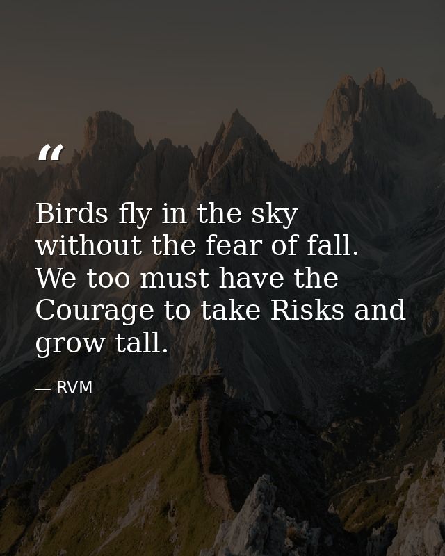 Birds fly in the sky without the fear of fall. We too must have the Courage to take Risks and grow tall. — RVM