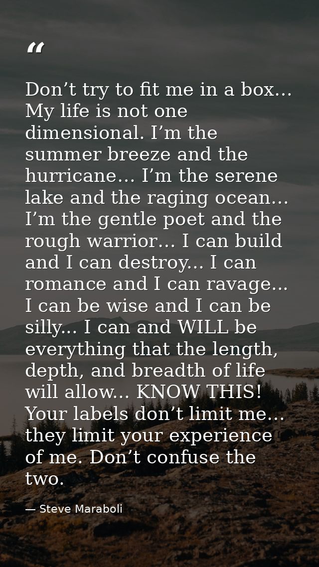 Don’t try to fit me in a box… My life is not one dimensional. I’m the summer breeze and the hurricane… I’m the serene la — Steve Maraboli