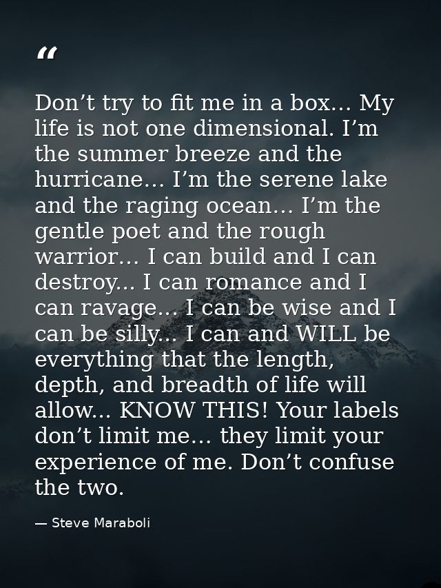 Don’t try to fit me in a box… My life is not one dimensional. I’m the summer breeze and the hurricane… I’m the serene la — Steve Maraboli