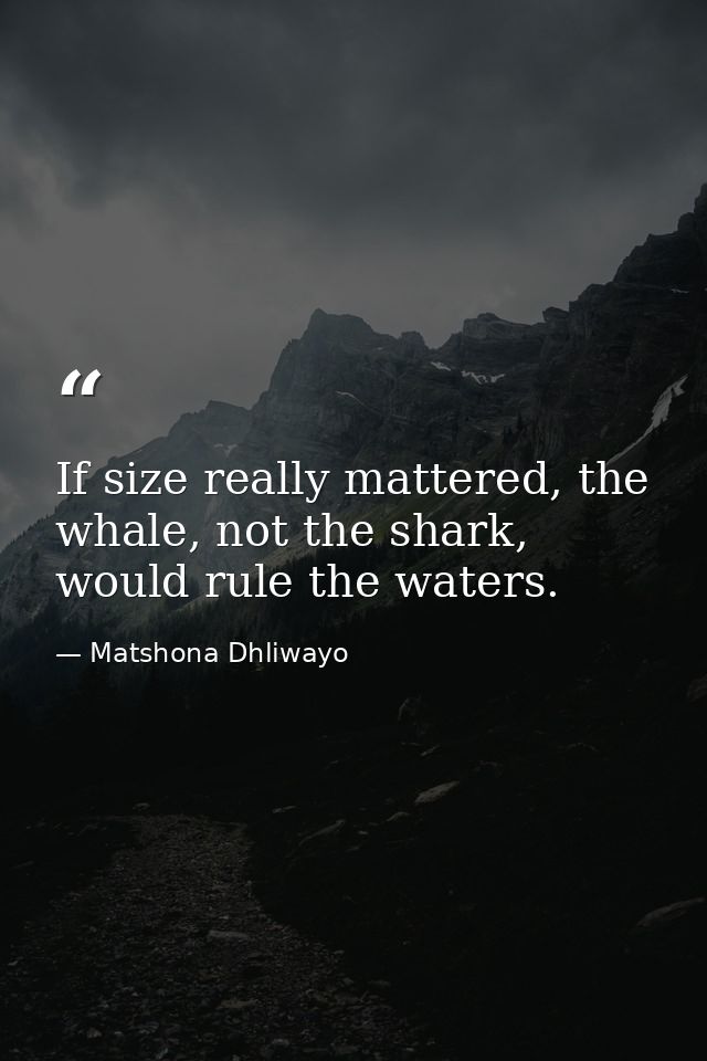 If size really mattered, the whale, not the shark, would rule the waters. — Matshona Dhliwayo
