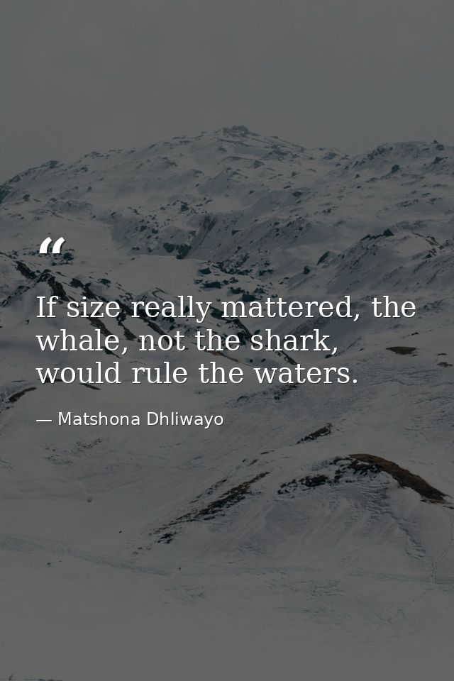 If size really mattered, the whale, not the shark, would rule the waters. — Matshona Dhliwayo