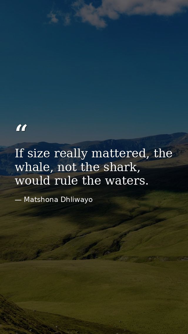 If size really mattered, the whale, not the shark, would rule the waters. — Matshona Dhliwayo
