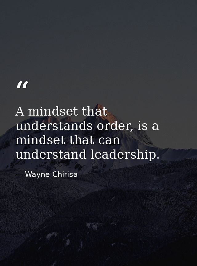 A mindset that understands order, is a mindset that can understand leadership. — Wayne Chirisa
