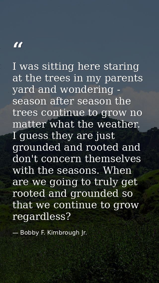 I was sitting here staring at the trees in my parents yard and wondering - season after season the trees continue to gro — Bobby F. Kimbrough Jr.