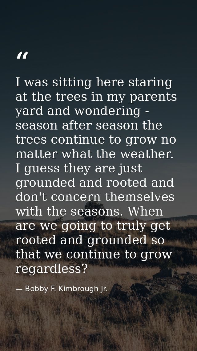 I was sitting here staring at the trees in my parents yard and wondering - season after season the trees continue to gro — Bobby F. Kimbrough Jr.