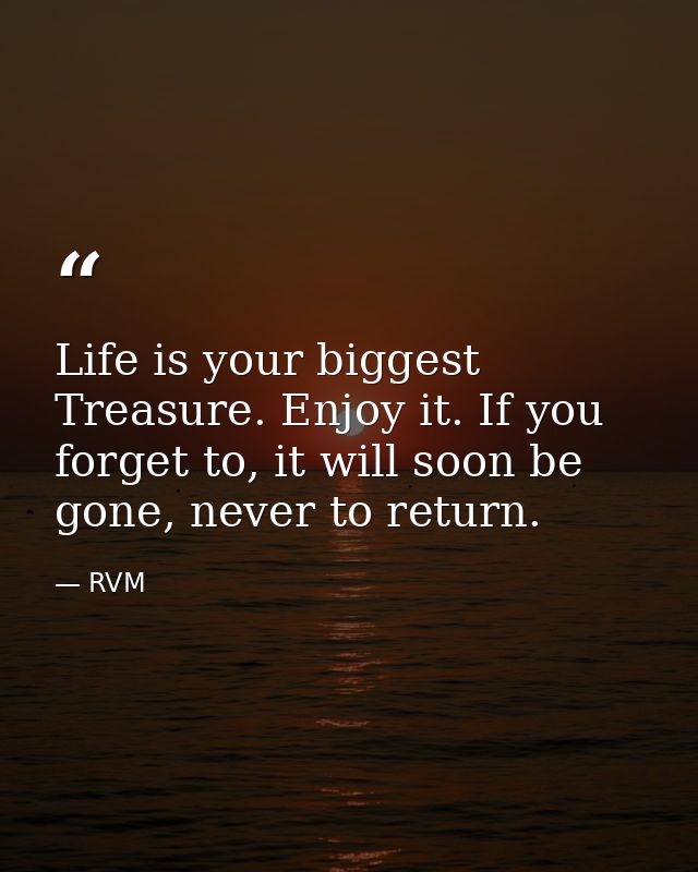 Life is your biggest Treasure. Enjoy it. If you forget to, it will soon be gone, never to return. — RVM