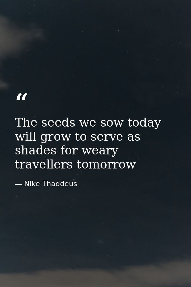 The seeds we sow today will grow to serve as shades for weary travellers tomorrow — Nike Thaddeus