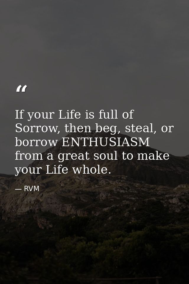 If your Life is full of Sorrow, then beg, steal, or borrow ENTHUSIASM from a great soul to make your Life whole. — RVM