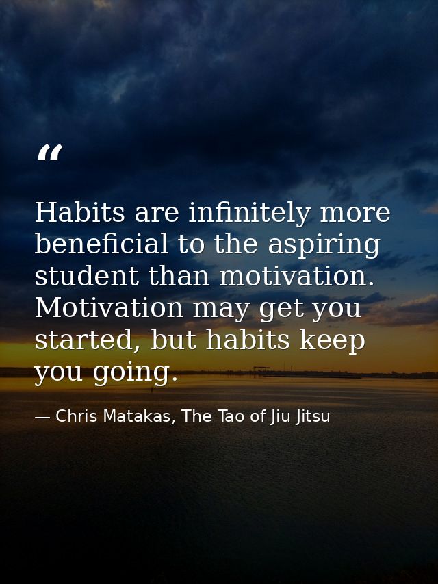 Habits are infinitely more beneficial to the aspiring student than motivation. Motivation may get you started, but habit — Chris Matakas, The Tao of Jiu Jitsu