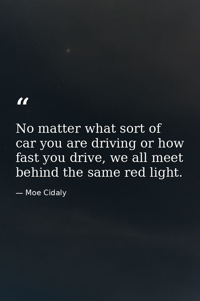 No matter what sort of car you are driving or how fast you drive, we all meet behind the same red light. — Moe Cidaly