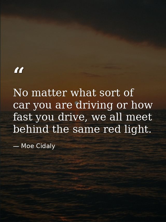 No matter what sort of car you are driving or how fast you drive, we all meet behind the same red light. — Moe Cidaly