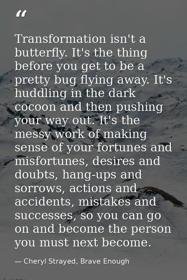 Transformation isn't a butterfly. It's the thing before you get to be a pretty bug flying away. It's huddling in the dar — Cheryl Strayed, Brave Enough