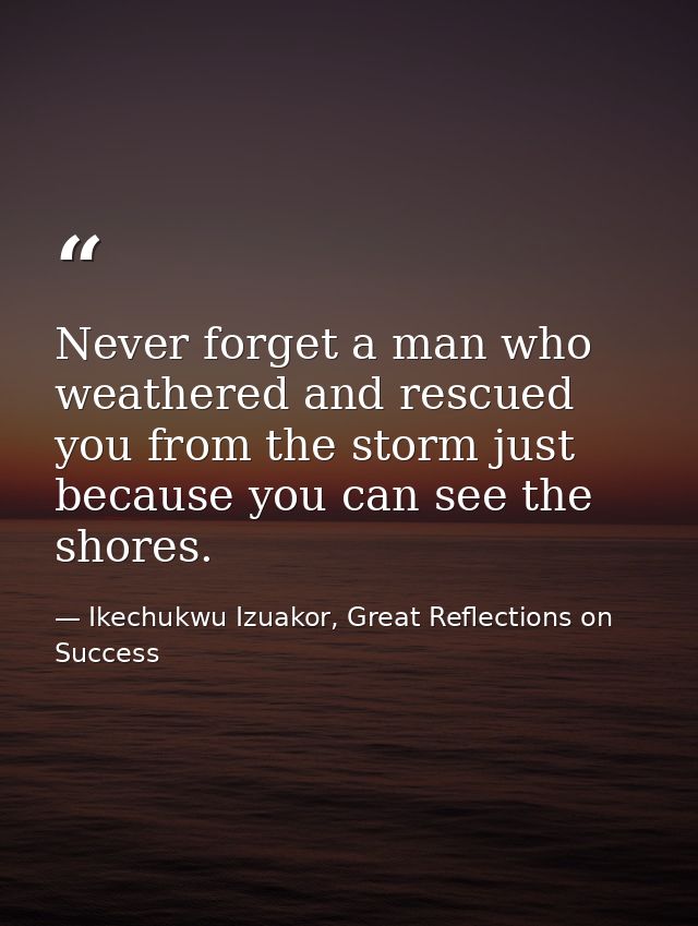 Never forget a man who weathered and rescued you from the storm just because you can see the shores. — Ikechukwu Izuakor, Great Reflections on Success