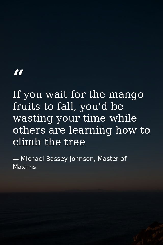 If you wait for the mango fruits to fall, you'd be wasting your time while others are learning how to climb the tree — Michael Bassey Johnson, Master of Maxims