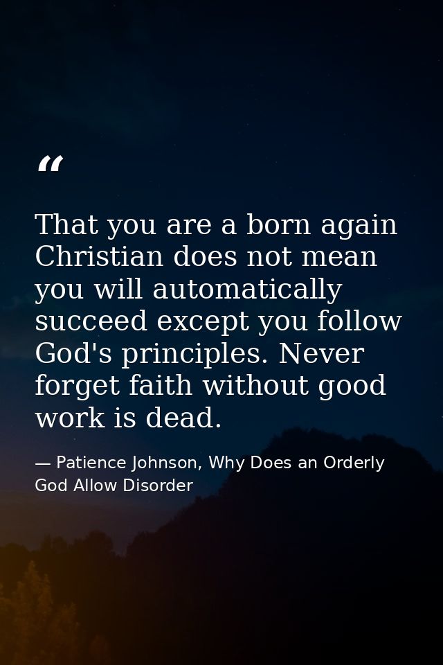 That you are a born again Christian does not mean you will automatically succeed except you follow God's principles. Nev — Patience Johnson, Why Does an Orderly God Allow Disorder