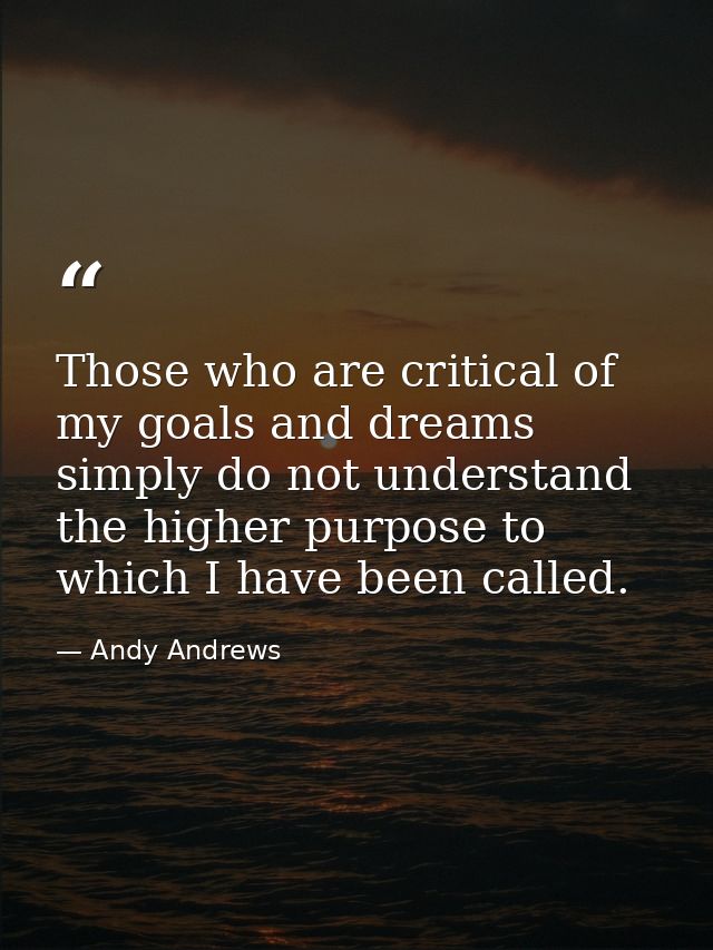 Those who are critical of my goals and dreams simply do not understand the higher purpose to which I have been called. — Andy Andrews