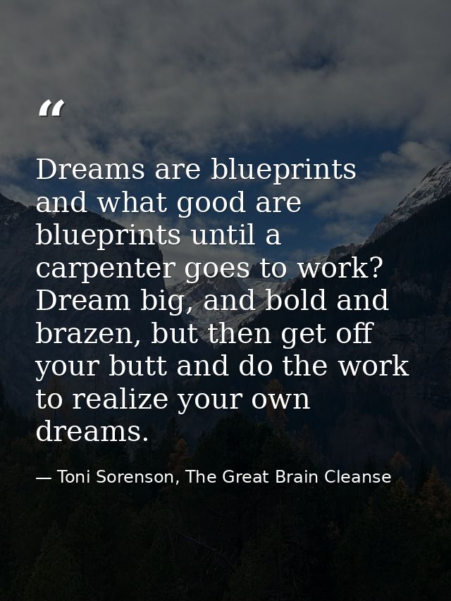 Dreams are blueprints and what good are blueprints until a carpenter goes to work? Dream big, and bold and brazen, but t — Toni Sorenson, The Great Brain Cleanse