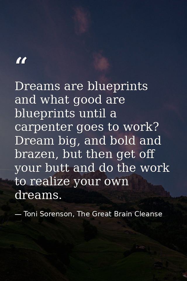 Dreams are blueprints and what good are blueprints until a carpenter goes to work? Dream big, and bold and brazen, but t — Toni Sorenson, The Great Brain Cleanse