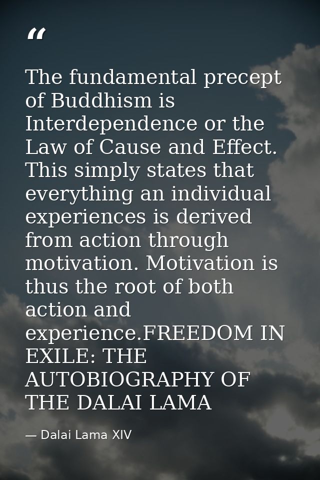 The fundamental precept of Buddhism is Interdependence or the Law of Cause and Effect. This simply states that everythin — Dalai Lama XIV
