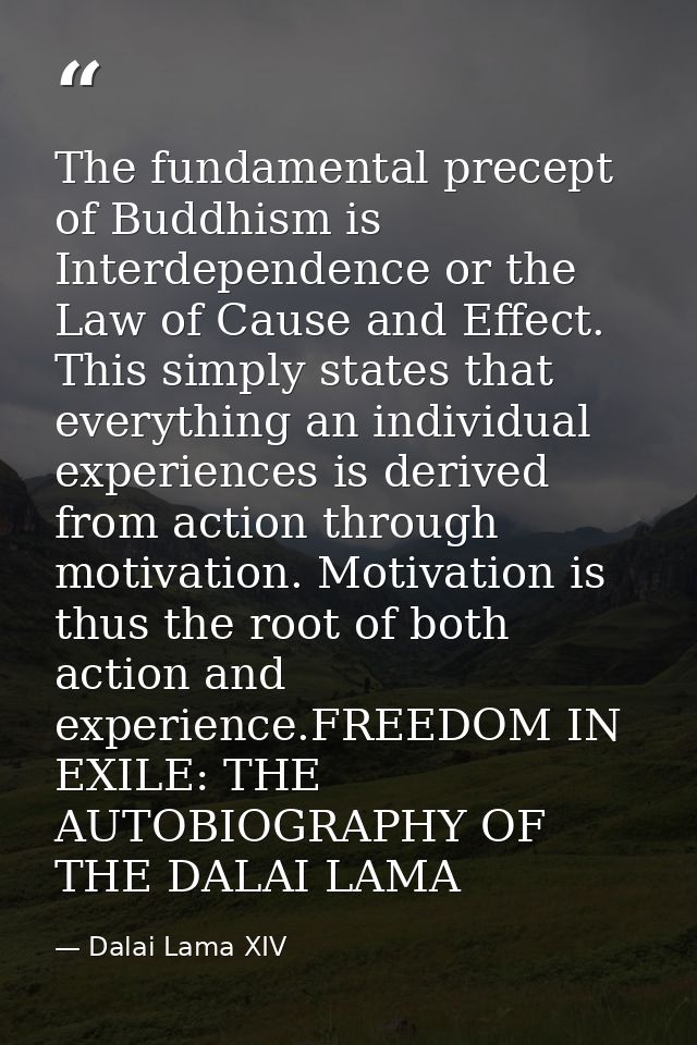 The fundamental precept of Buddhism is Interdependence or the Law of Cause and Effect. This simply states that everythin — Dalai Lama XIV