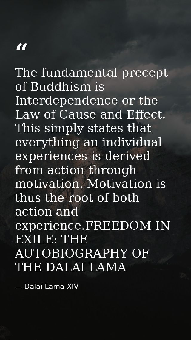 The fundamental precept of Buddhism is Interdependence or the Law of Cause and Effect. This simply states that everythin — Dalai Lama XIV