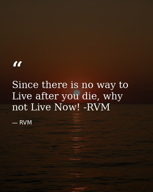 Since there is no way to Live after you die, why not Live Now! -RVM — RVM