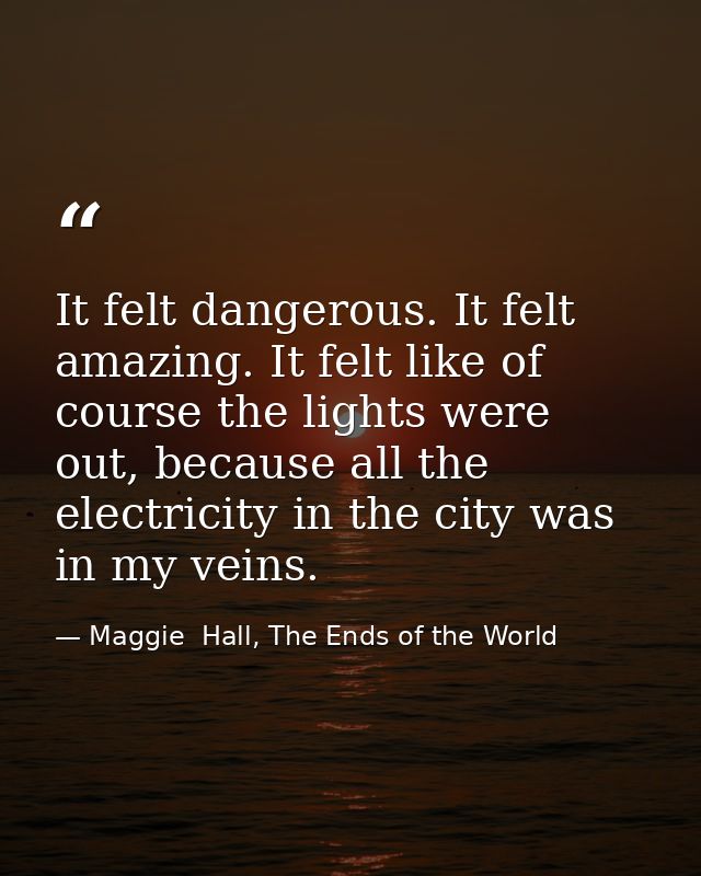 It felt dangerous. It felt amazing. It felt like of course the lights were out, because all the electricity in the city  — Maggie  Hall, The Ends of the World