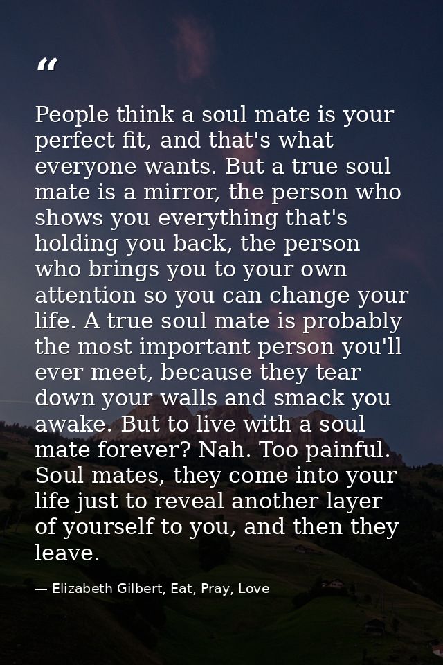 People think a soul mate is your perfect fit, and that's what everyone wants. But a true soul mate is a mirror, the pers — Elizabeth Gilbert, Eat, Pray, Love