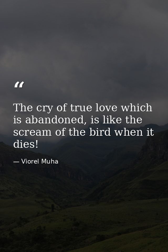 The cry of true love which is abandoned, is like the scream of the bird when it dies! — Viorel Muha