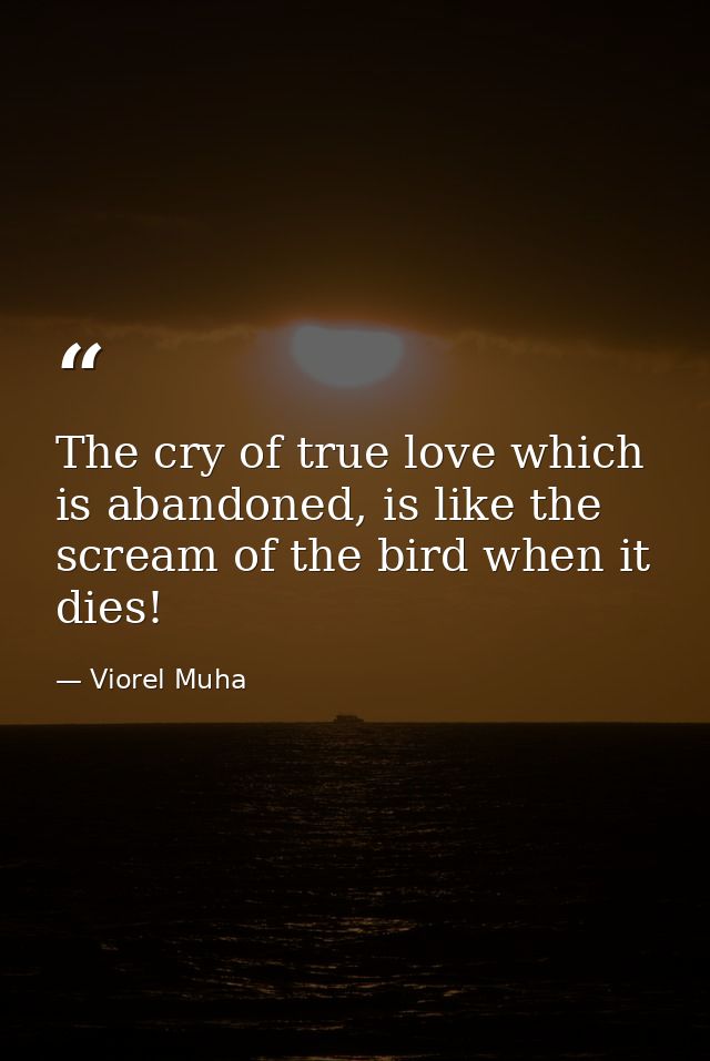 The cry of true love which is abandoned, is like the scream of the bird when it dies! — Viorel Muha